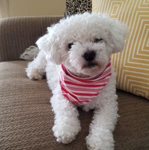 Meet your Posher, Sandi